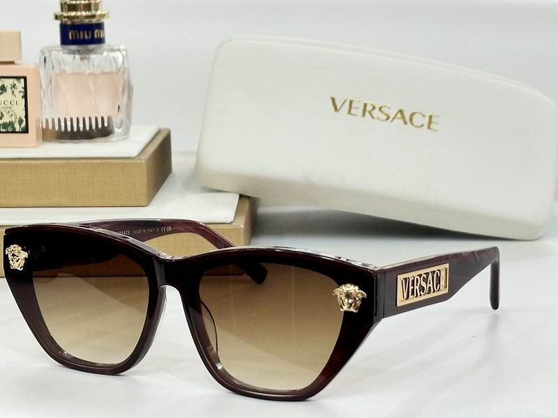 Versace Glasses 03smh17 (5)