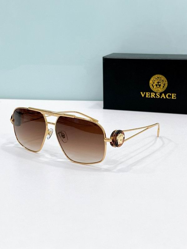 Versace Glasses 03smh19 (2)