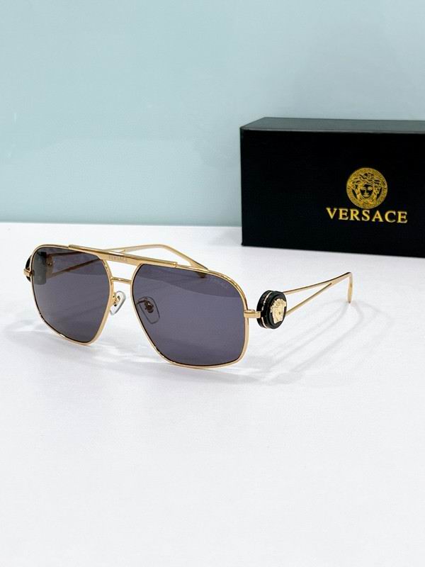 Versace Glasses 03smh19 (5)