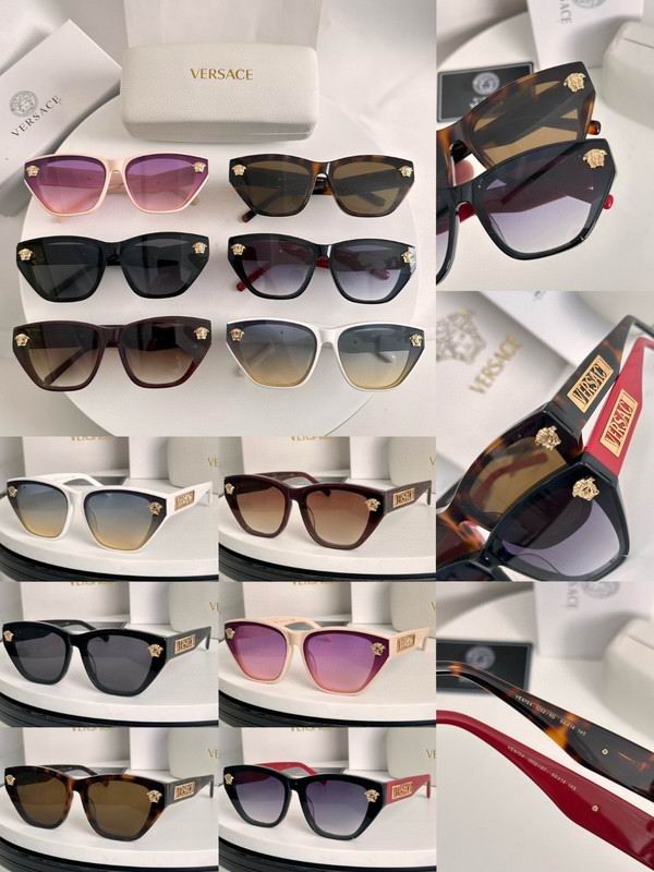 Versace Glasses 03smh20 (10)