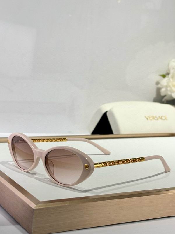 Versace Glasses 03smh34 (6)