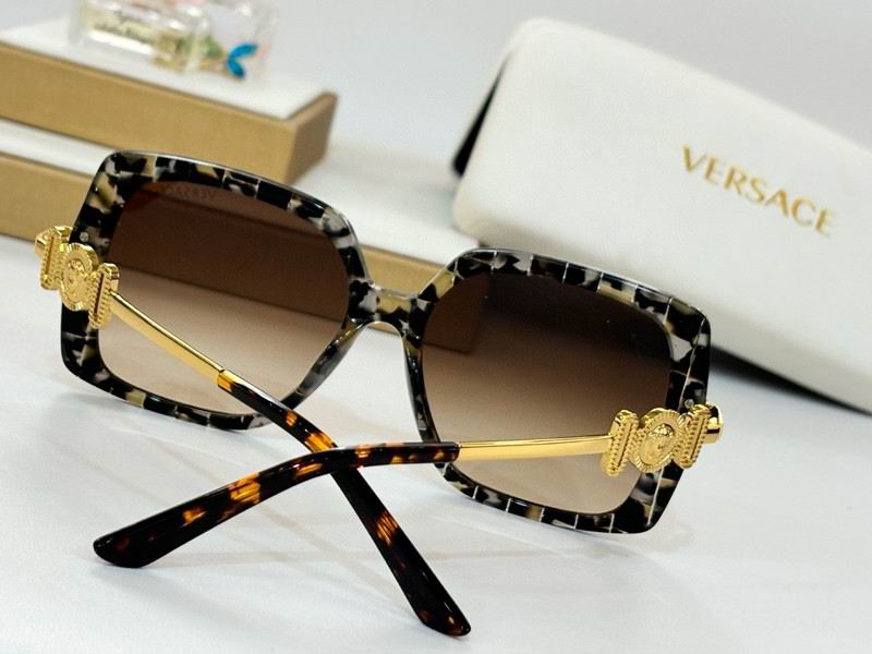 Versace Glasses 03smh42 (8)