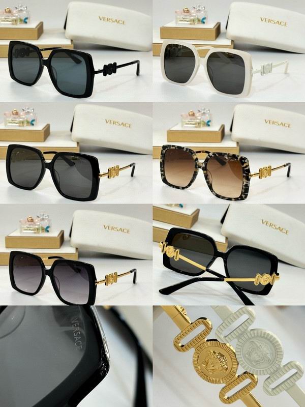 Versace Glasses 03smh42 (9)