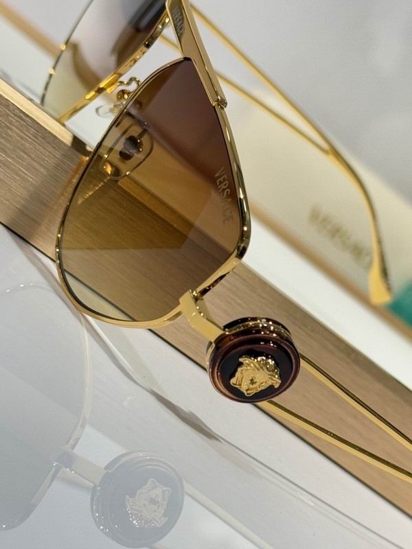Versace Glasses 03smh44 (8)