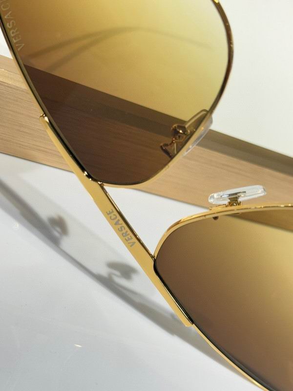 Versace Glasses 03smh44 (9)