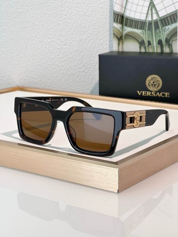 Versace Glasses 03smh46 (3)