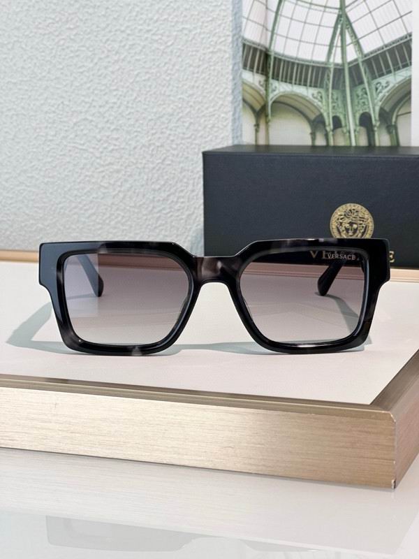 Versace Glasses 03smh46 (8)