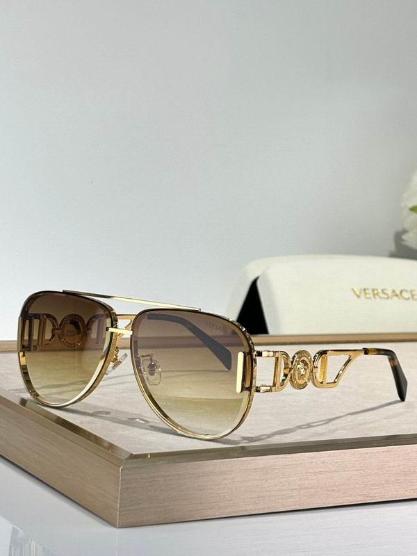Versace Glasses 03smh47 (3)