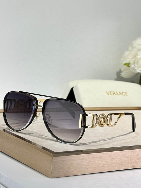 Versace Glasses 03smh47 (8)