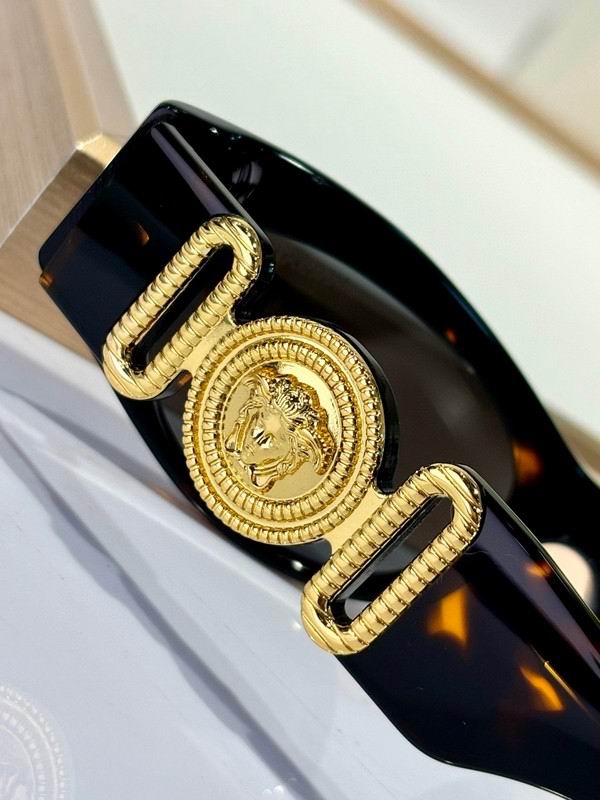 Versace Glasses 03smh48 (7)