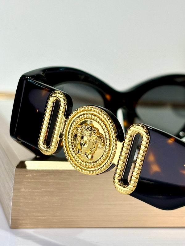 Versace Glasses 03smh48 (8)