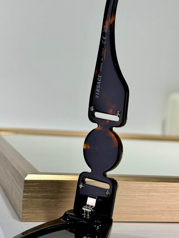 Versace Glasses 03smh48 (9)