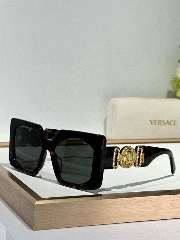 Versace Glasses 03smh49 (3)