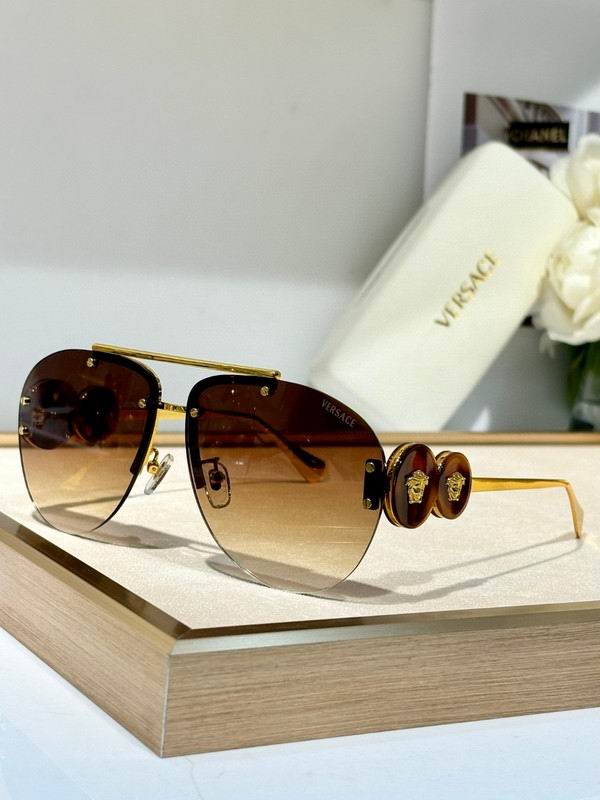 Versace Glasses 03smh50 (9)