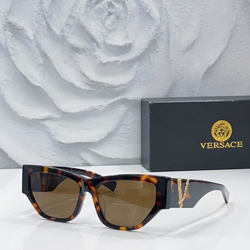Versace Glasses 03smh65 (3)