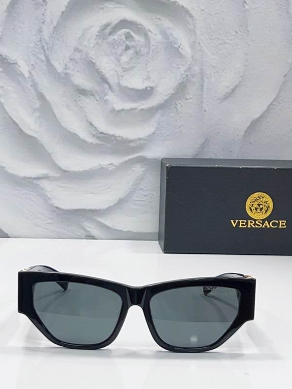 Versace Glasses 03smh65 (6)