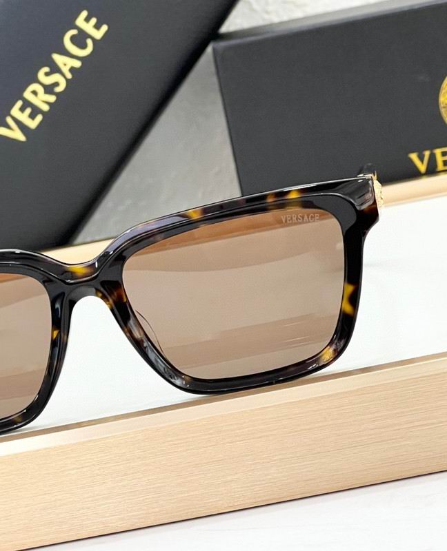 Versace Glasses 03smh66 (6)