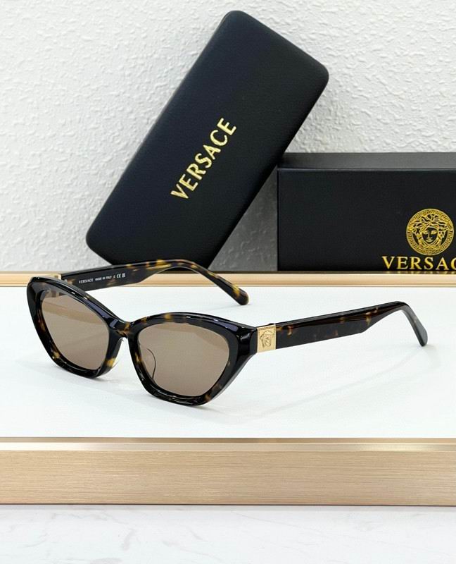 Versace Glasses 03smh67 (2)