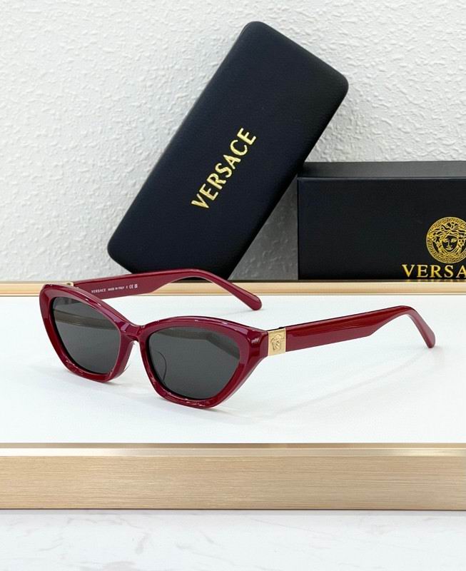Versace Glasses 03smh67 (4)