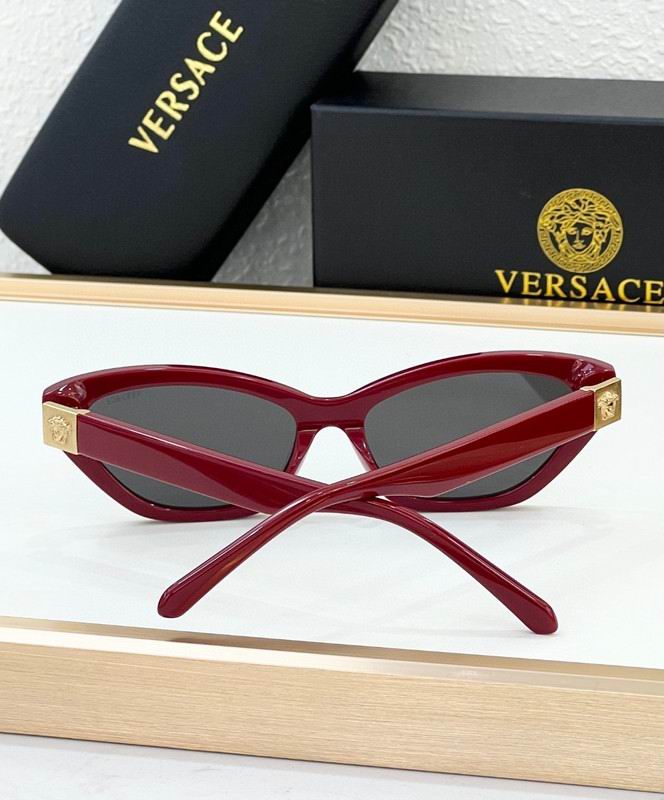 Versace Glasses 03smh67 (6)