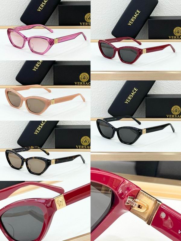Versace Glasses 03smh67 (7)
