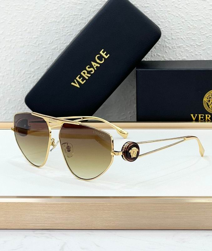 Versace Glasses 03smh69 (3)
