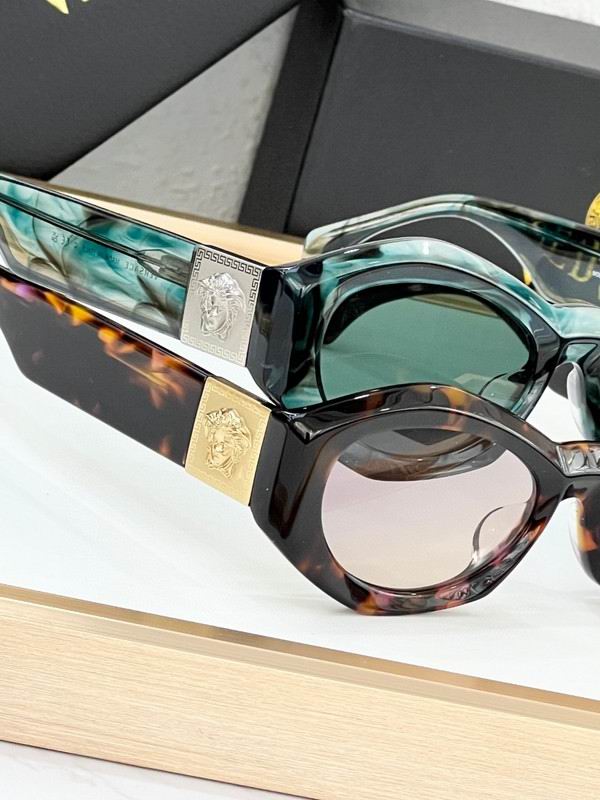 Versace Glasses 03smh72 (9)