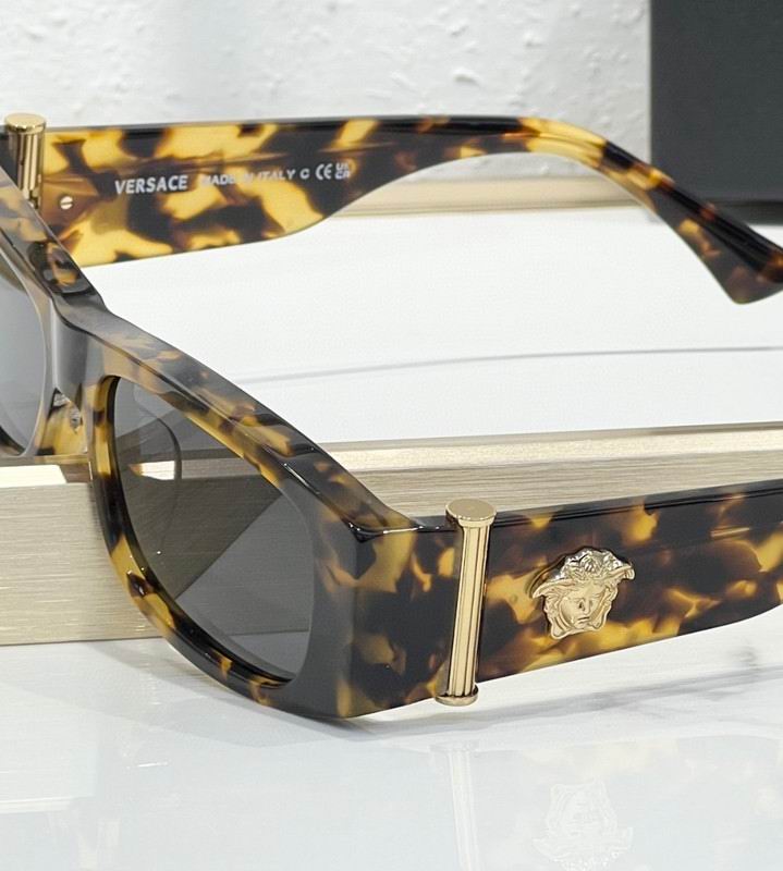 Versace Glasses 03smh76 (8)