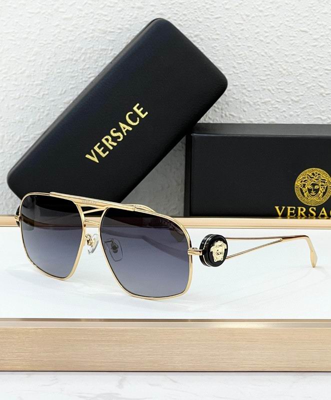 Versace Glasses 03smh78 (8)