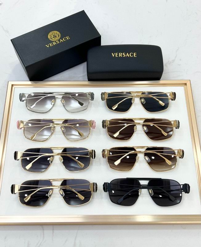 Versace Glasses 03smh78 (9)