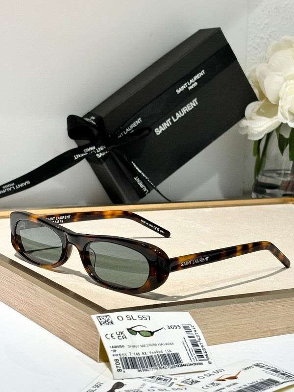 YSL Glasses 03smh24 (2)