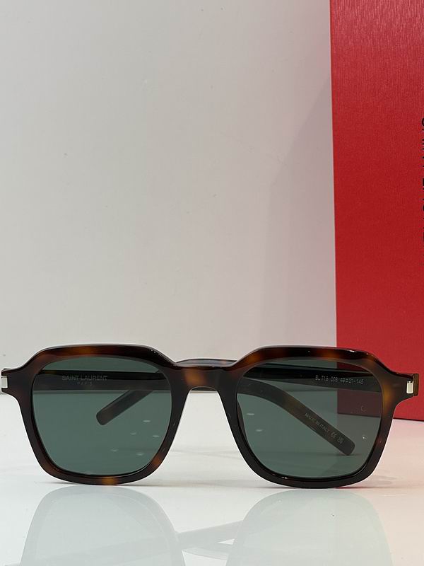 YSL Glasses 03smh61 (9)