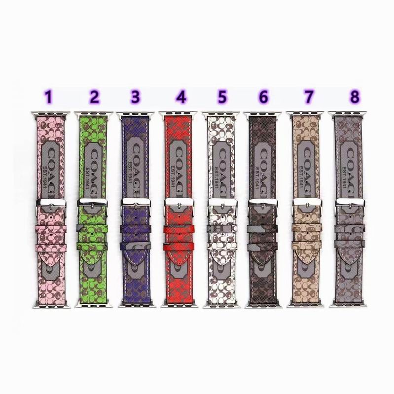watch band  (28)