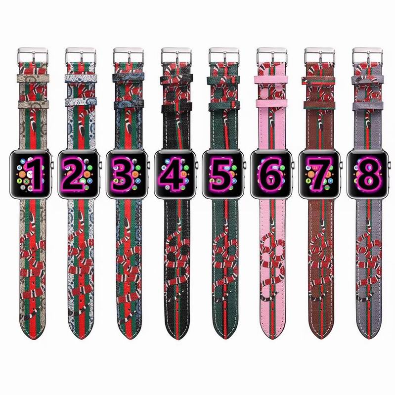 watch band  (36)