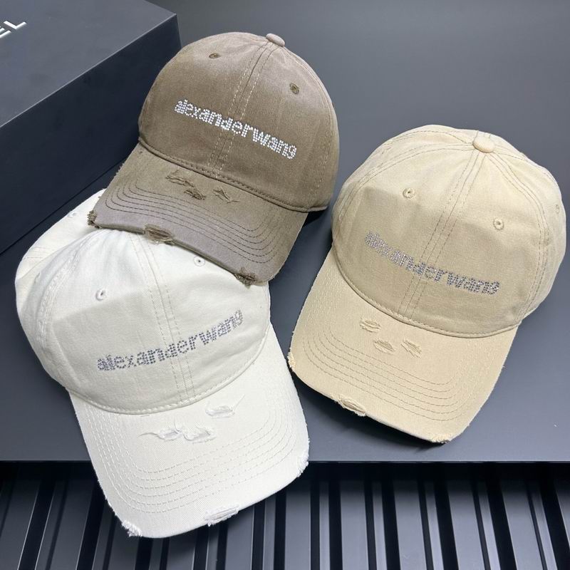 Alexander Wang cap dx (1)