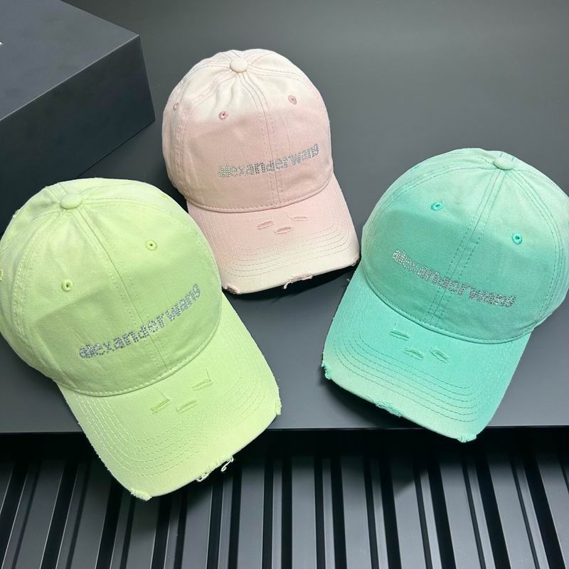 Alexander Wang cap dx (3)