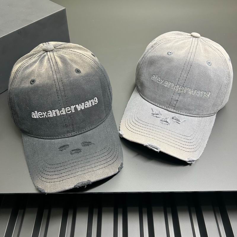 Alexander Wang cap dx (4)