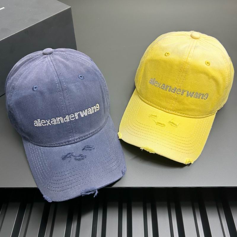 Alexander Wang cap dx (5)