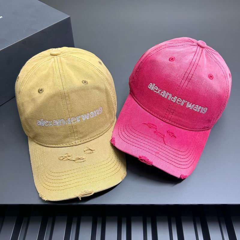 Alexander Wang cap dx (6)