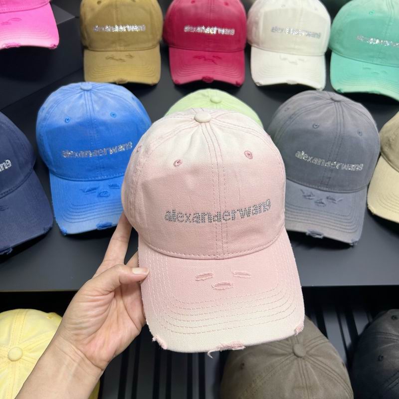 Alexander Wang cap dx (7)