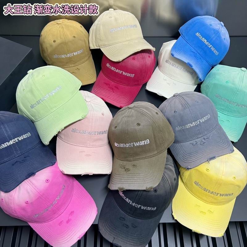 Alexander Wang cap dx (8)