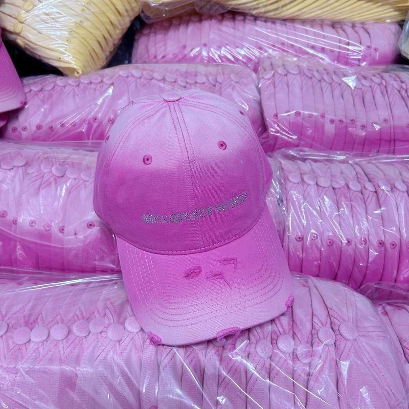 Alexander Wang cap dx