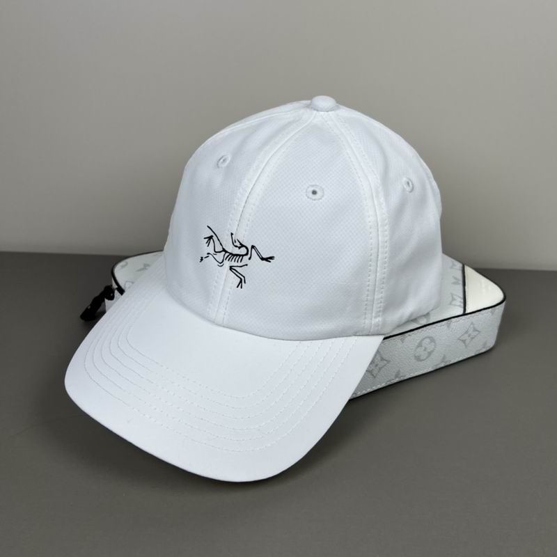 Arcteryx Cap dx (23)