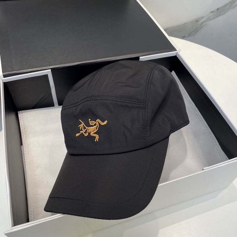 Arcteryx cap dx (30)