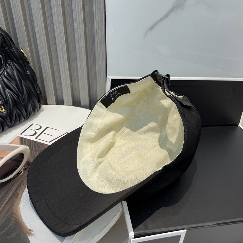 Arcteryx cap dx (34)