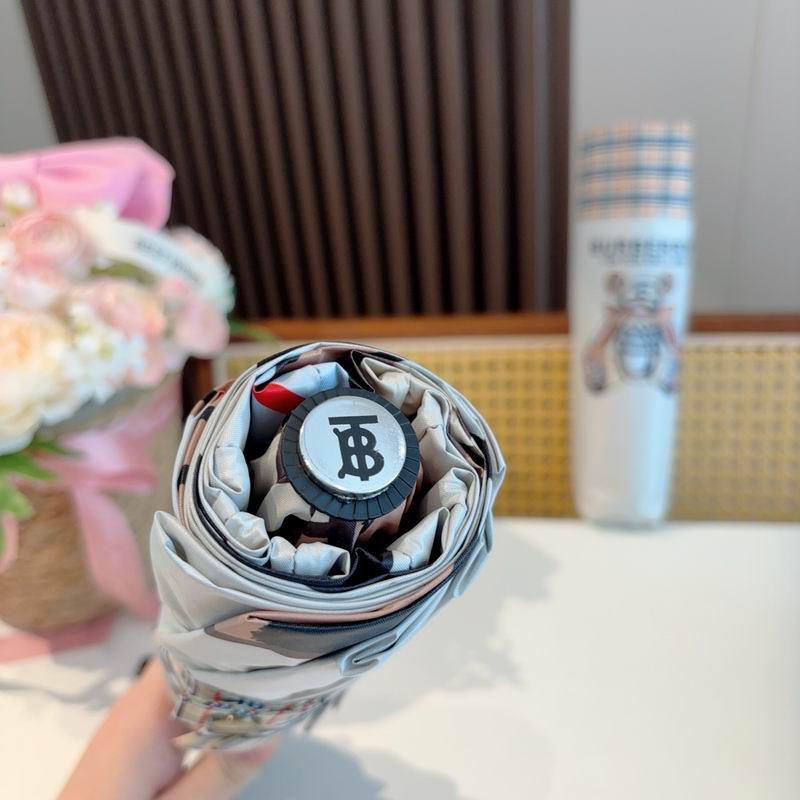 Burberry Umbrella (14)