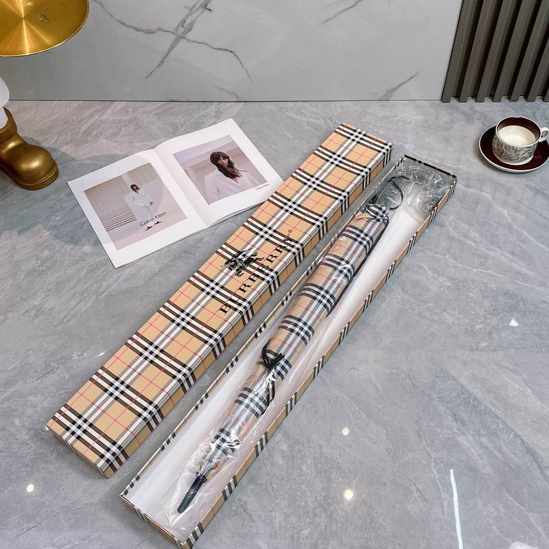 Burberry Umbrella (19)