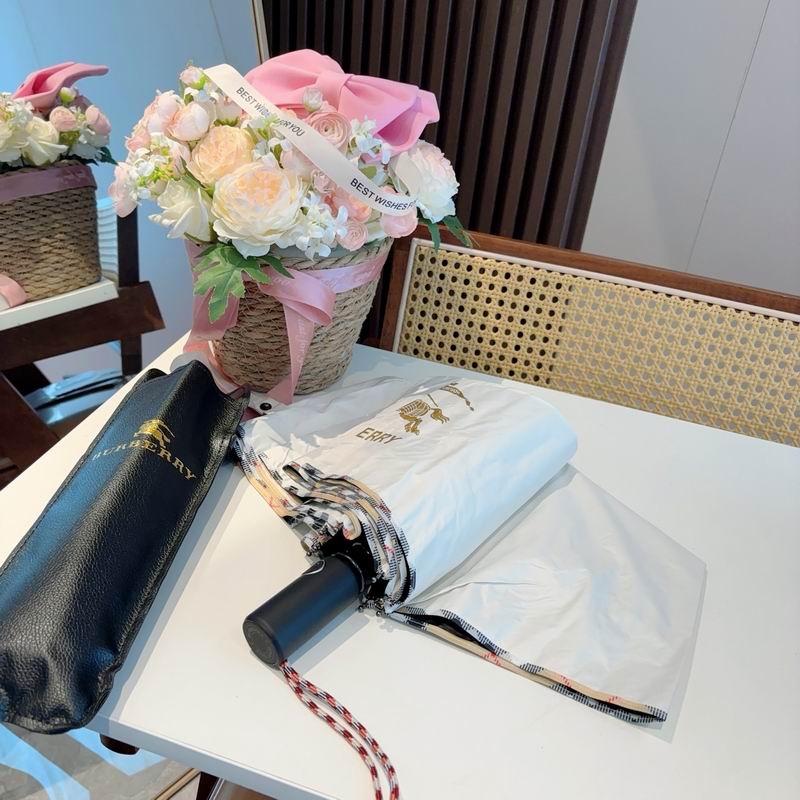 Burberry Umbrella (24)