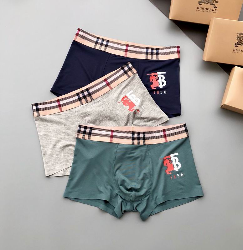 Burberry boxer L-3XL 11 (9)