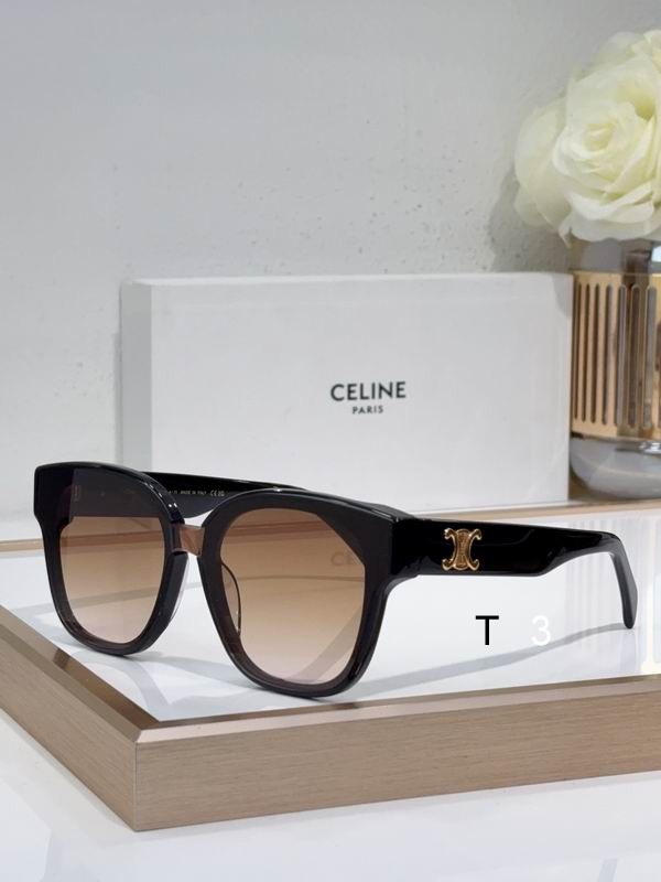 CELINE CL42094U 55 18-145 c06